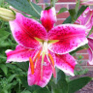 Meet your Posher, Stacey